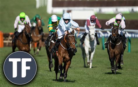 cheltenham tips friday